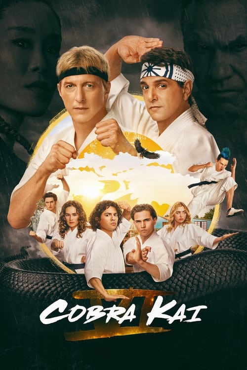 Cobra Kai : 1.Sezon 9.Bölüm