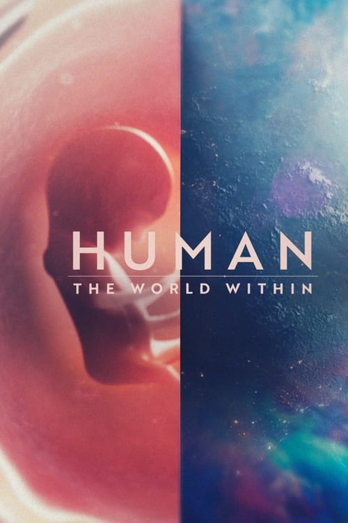 Human The World Within : 1.Sezon 4.Bölüm