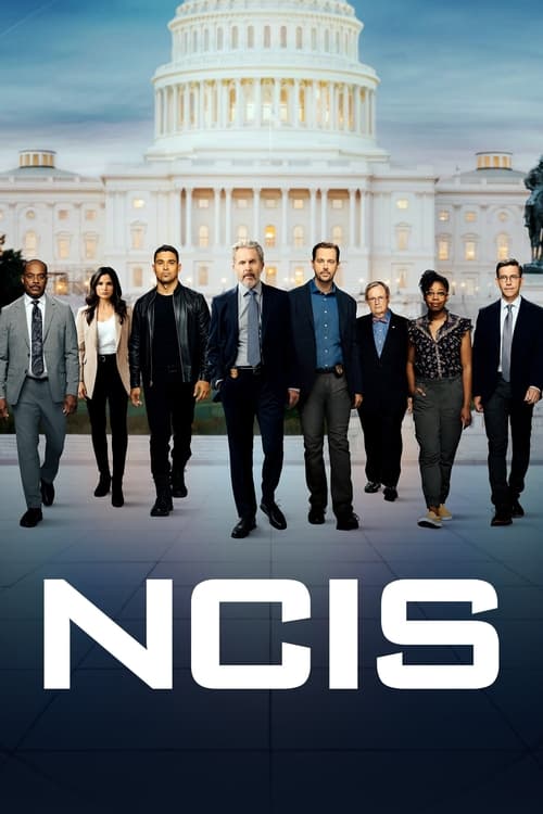 NCIS : 12.Sezon 21.Bölüm