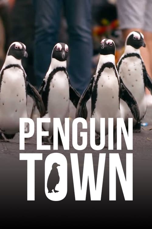 Penguin Town : 1.Sezon 8.Bölüm