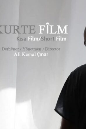 Kurte Fîlm (2013)