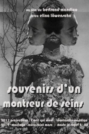 Souvenirs d’un montreur de seins (2014)