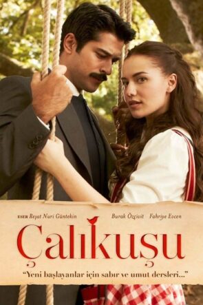 Çalıkuşu