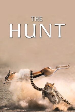 The Hunt